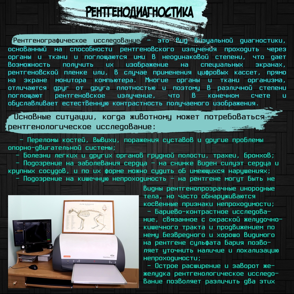 Рентгенография ч1.jpg