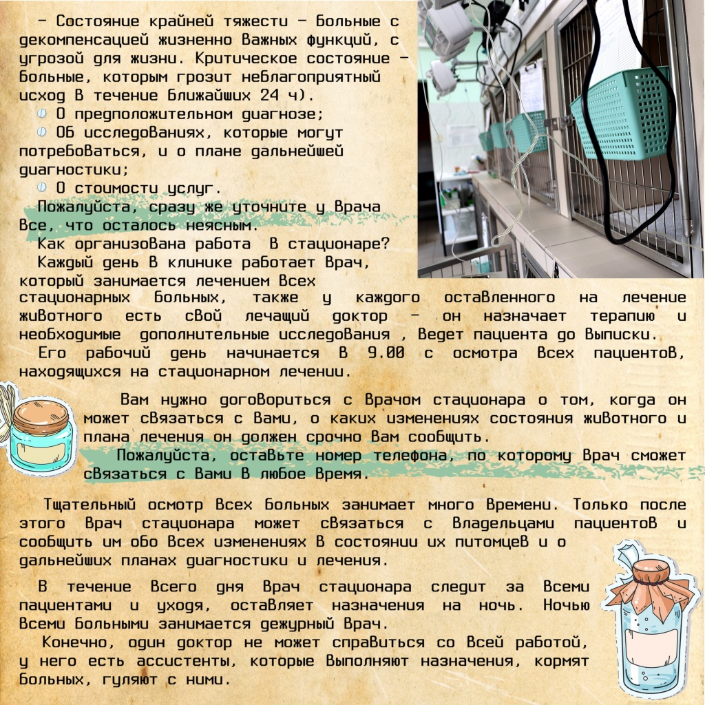 Госпитализация Животных ч2.jpg