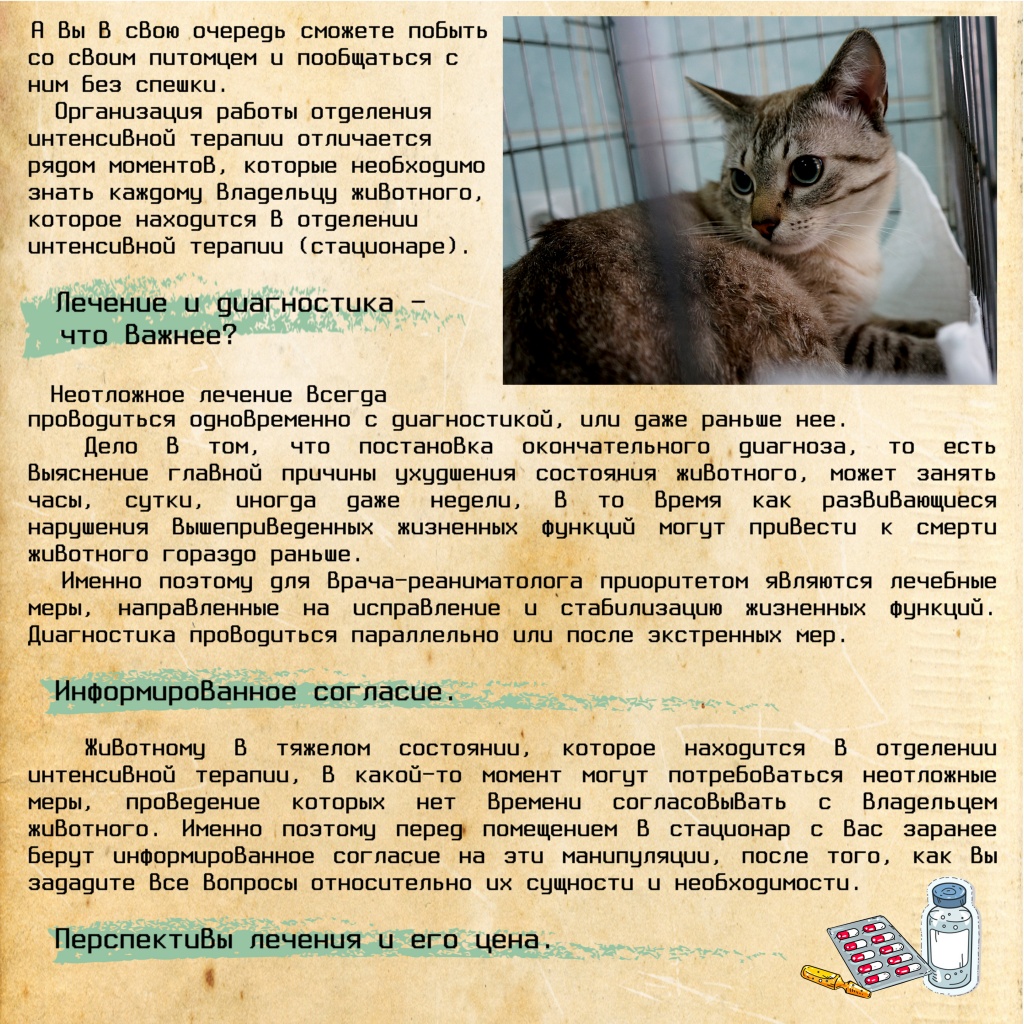 Госпитализация Животных ч5.jpg