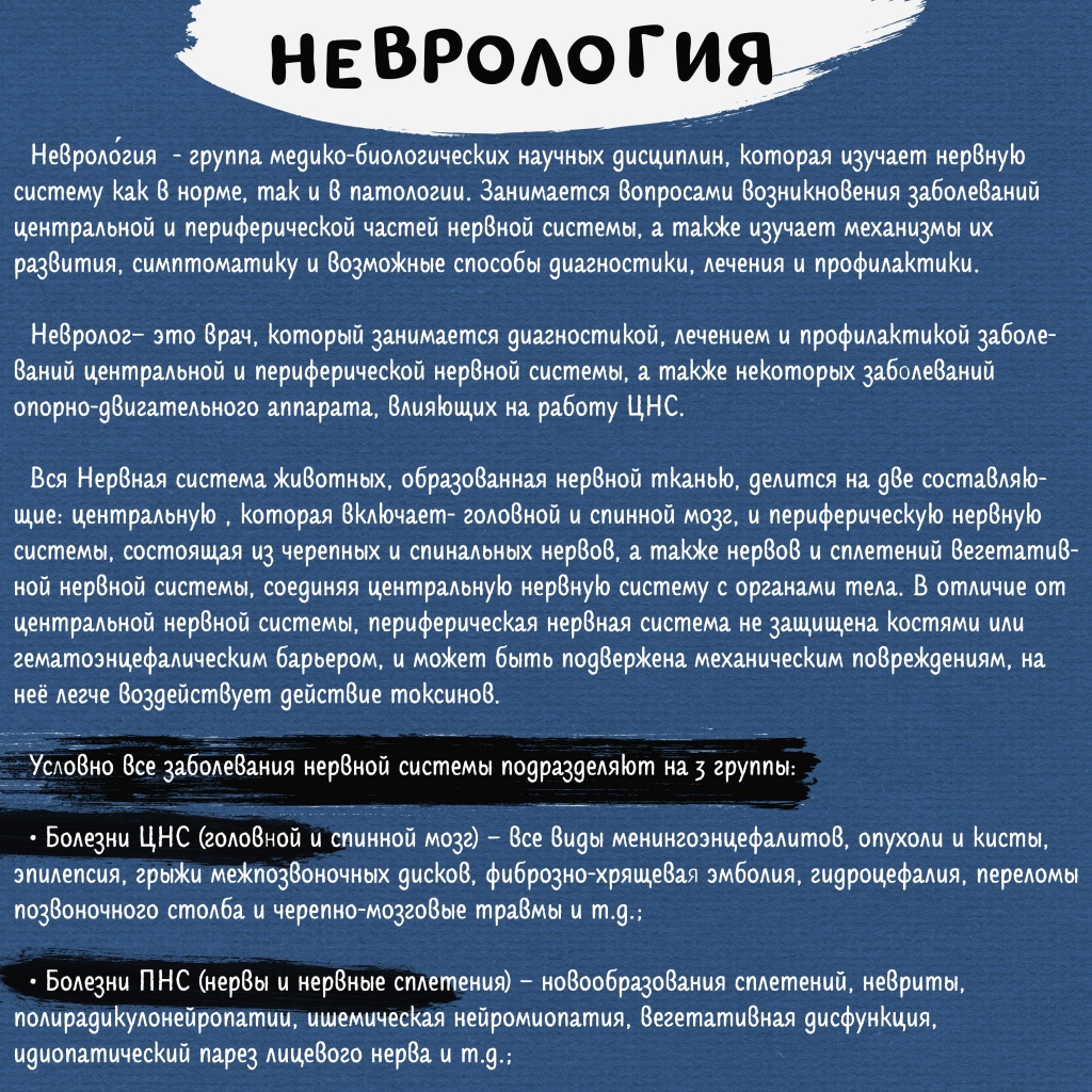 Неврология ч1.jpg