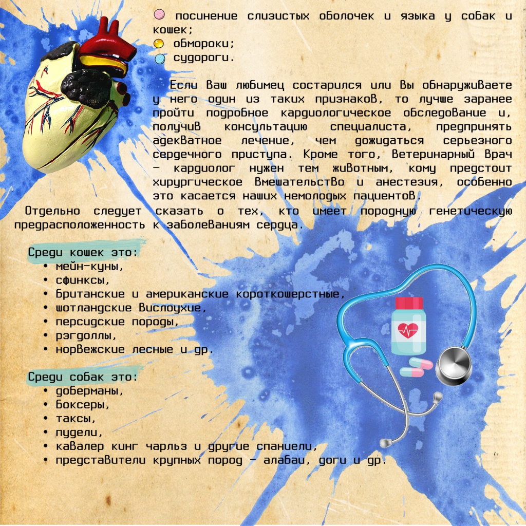 Кардиология ч2.jpg
