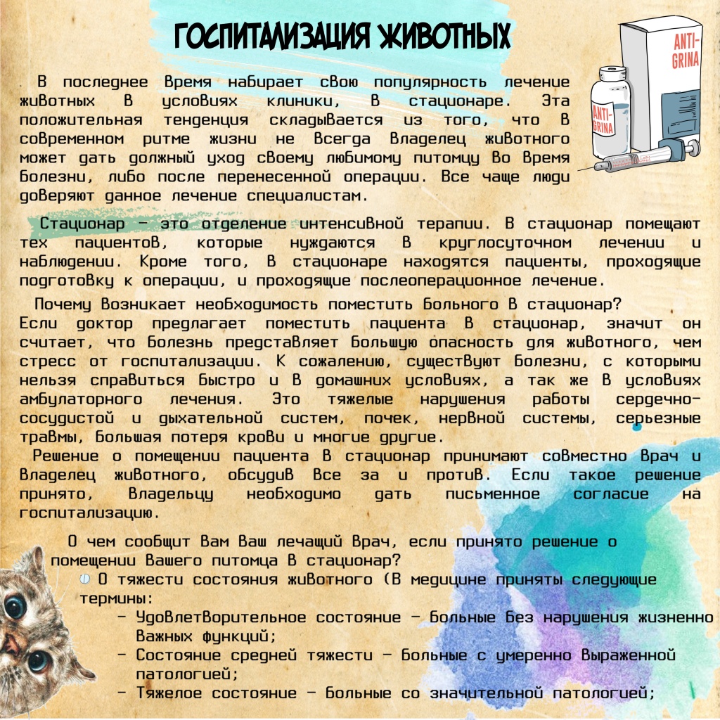 Госпитализация Животных ч1.jpg