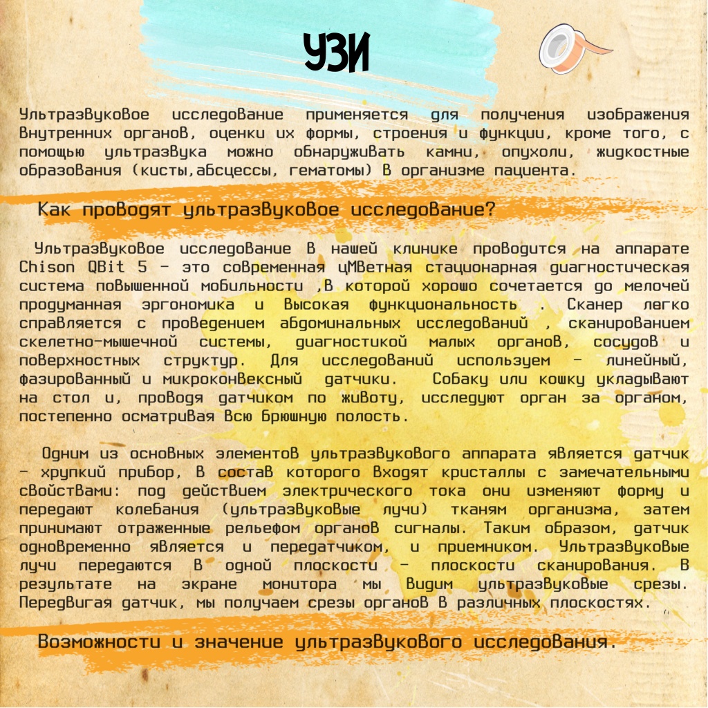 УЗИ ч1.jpg