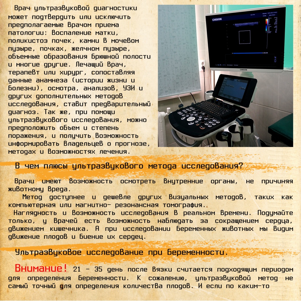 УЗИ ч2.jpg