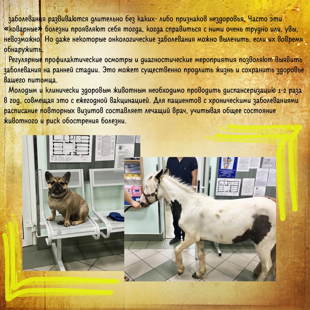 Диспансеризайия ч3.jpg