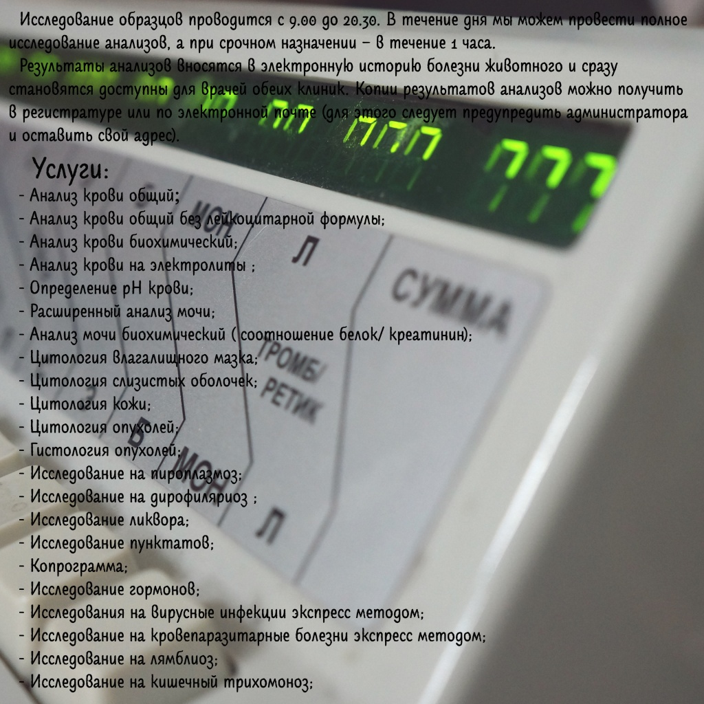 Лабораторная Диагностика ч21.jpg