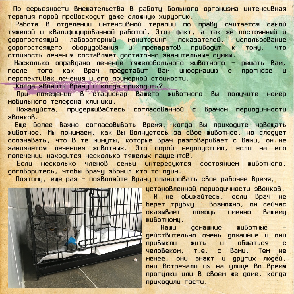Госпитализация Животных ч6.jpg